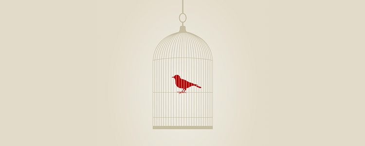 自动优化性能的DDOS在线压力测试